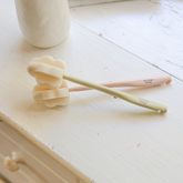 Sponge Brush | Pack of 2 - Zamaya Baby